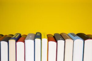 Almanacco Digitaliano 2024: la recensione del libro