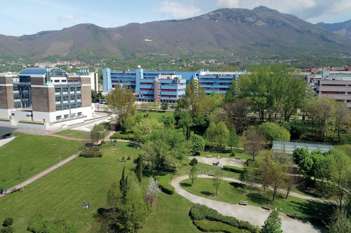 Crisi, leadership e possibilità nell’Università che cambia