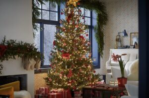 IKEA rilancia “Compostiamoci Bene”: alberi di Natale per combattere la povertà energetica